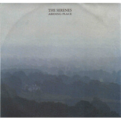 The Serenes Abiding Place USED VINYL 7INCH SINGLE 45 RPM