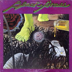 Black Grass (2) Black Grass Vinyl LP USED