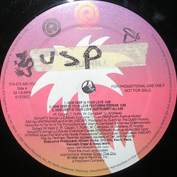 Dru Hill How Deep Is Your Love Vinyl 12" USED