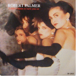 Robert Palmer I Didn't Mean To Turn You On USED VINYL 7INCH 45 RPM SINGLE STEREO