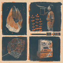 Non Canon Non Canon Vinyl LP USED