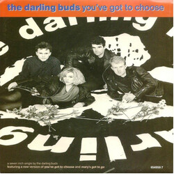 The Darling Buds You've Got To Choose USED VINYL 7INCH 45 RPM SINGLE