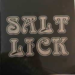 Salt Lick (2) Salt Lick Vinyl LP USED