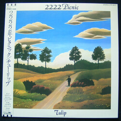 Tulip (2) 2222 Picnic Vinyl LP USED