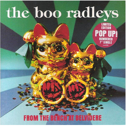 The Boo Radleys From The Bench At Belvidere Vinyl 7" USED