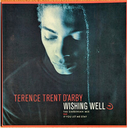 Terence Trent D'Arby Wishing Well (The Darbinian Mix) USED VINYL 12INCH 33 S RPM