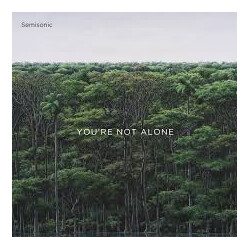 Semisonic You're Not Alone USED VINYL 12INCH 45 RPM EP STEREO