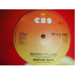 Marvin Gaye (Sexual) Healing USED VINYL 12INCH 45 RPM SINGLE