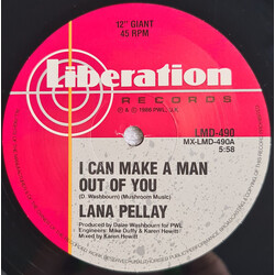 Alan Pillay I Can Make A Man Out Of You USED VINYL 12INCH 45 RPM
