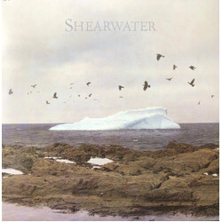 Shearwater Rooks / The Rainbow USED VINYL 7INCH 33 S RPM 45 RPM SINGLE
