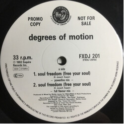 Degrees Of Motion Soul Freedom (Free Your Soul) USED VINYL 12INCH 33 S RPM PROMO
