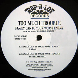 Too Much Trouble Family Can Be Your Worst Enemy USED VINYL 12INCH PROMO