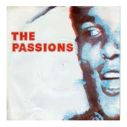The Passions Hunted USED VINYL 7INCH 45 RPM SINGLE