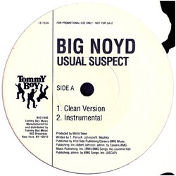 Big Noyd Usual Suspect VINYL 12" USED