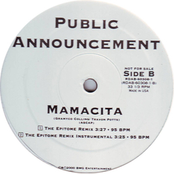 Public Announcement Mamacita Vinyl 12" USED