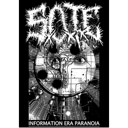 SxOxTxE / Heinous (2) Information Era Paranoia / Apprehended Dead Vinyl 12" USED