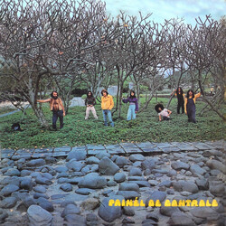 Painel De Controle Painél De Controle Vinyl LP USED