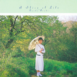 Taeko Ohnuki A Slice Of Life Vinyl LP USED