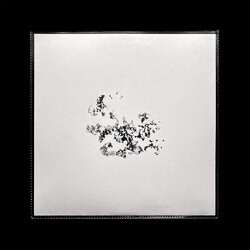 erb Transient Recs 2 USED VINYL 12INCH EP