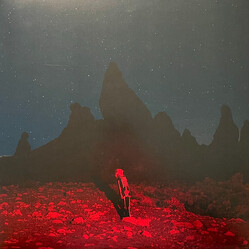 Phoebe Bridgers Punisher Vinyl LP USED