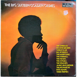 Various The Big Sixteen Golden Oldies Vinyl LP USED