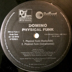 Domino Physical Funk VINYL 12" USED