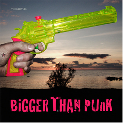 The Bristles (2) Bigger Than Punk Vinyl LP USED