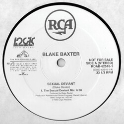 Blake Baxter Sexual Deviant USED VINYL 12INCH PROMO 33 S RPM