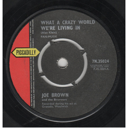 Joe Brown And The Bruvvers What A Crazy World We're Living In Vinyl 7" USED
