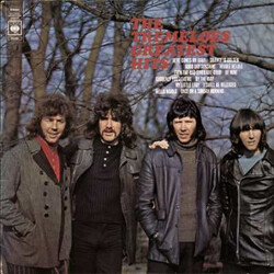 The Tremeloes Greatest Hits Vinyl LP USED
