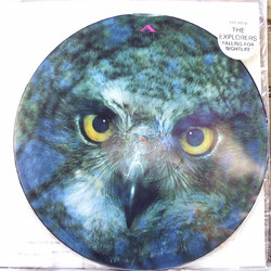 The Explorers (2) Falling For Nightlife VINYL 12" USED