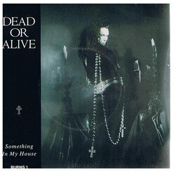 Dead Or Alive Something In My House USED VINYL 7INCH 45 RPM SINGLE STEREO