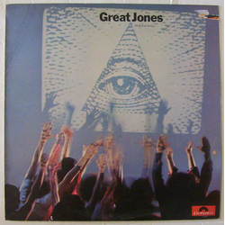 Great Jones All Bowed Down! Vinyl LP USED