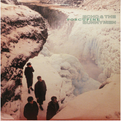 Echo & The Bunnymen Porcupine Vinyl LP USED