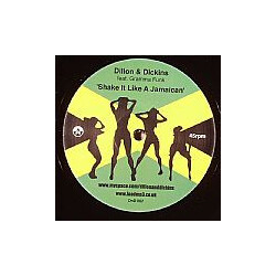 Dillon & Dickins Shake It Like A Jamaican / Smash The Computer Up Vinyl 12" USED