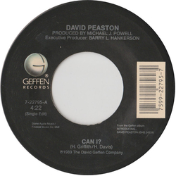 David Peaston Can I? Vinyl 7" USED