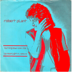 Robert Plant Burning Down One Side USED VINYL 7INCH 45 RPM SINGLE