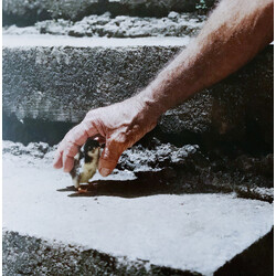 Big Thief Mythological Beauty USED VINYL 7INCH 45 RPM SINGLE