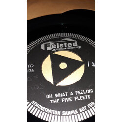 The Five Fleets Oh What A Feeling USED VINYL 7INCH 45 RPM SINGLE SIDED PROMO MONO