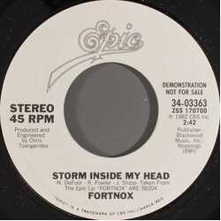 Fortnox (2) Storm Inside My Head USED VINYL 7INCH 45 RPM PROMO STYRENE STEREO