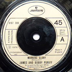 James & Bobby Purify Morning Glory Vinyl 7" USED
