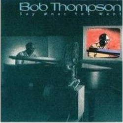 Bob Thompson (6) Say What You Want Vinyl LP USED