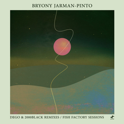 Bryony Jarman-Pinto Sour Face: dego & 2000Black Remixes / Fish Factory Sessions Vinyl 12" USED