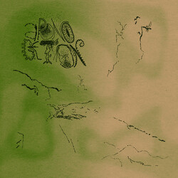 Aponogeton A Place Of Solace Vinyl LP USED