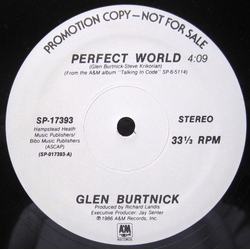 Glen Burtnick Perfect World Vinyl 12" USED