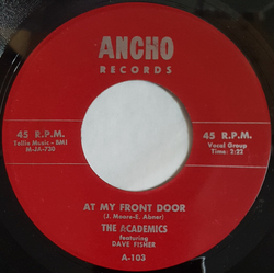 The Academics Darla My Darlin' / At My Front Door Vinyl 7" USED