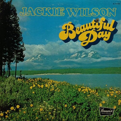 Jackie Wilson Beautiful Day Vinyl LP USED