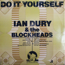 Ian Dury And The Blockheads Do It Yourself Vinyl LP USED