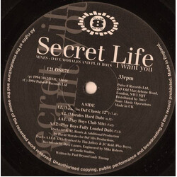 Secret Life I Want You USED VINYL 12INCH 33 S RPM SINGLE