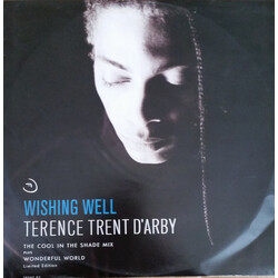 Terence Trent D'Arby Wishing Well USED VINYL 12INCH LIMITED EDITION